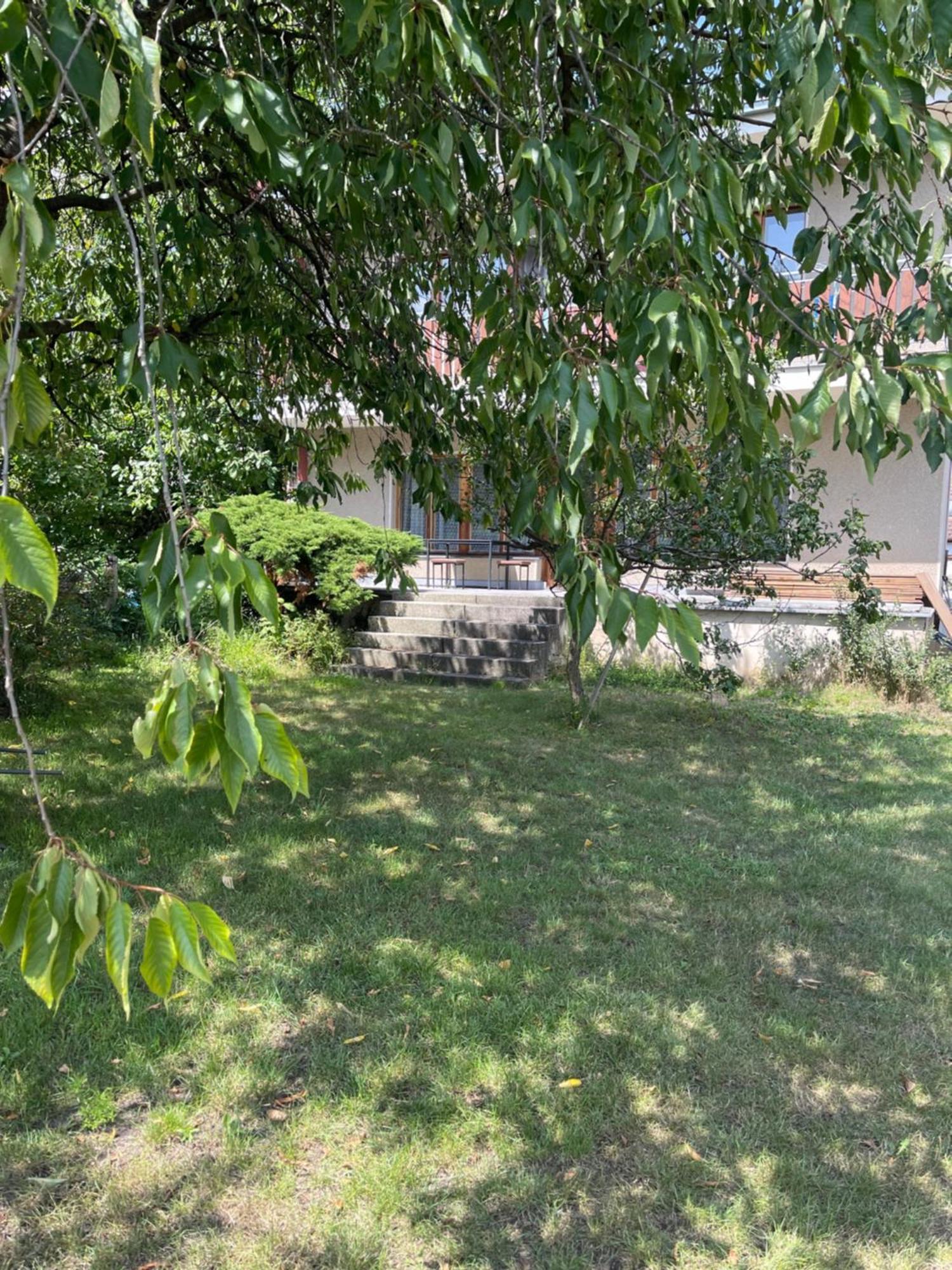 Apartment S Terasou Lysa Ліса-над-Лабем Екстер'єр фото