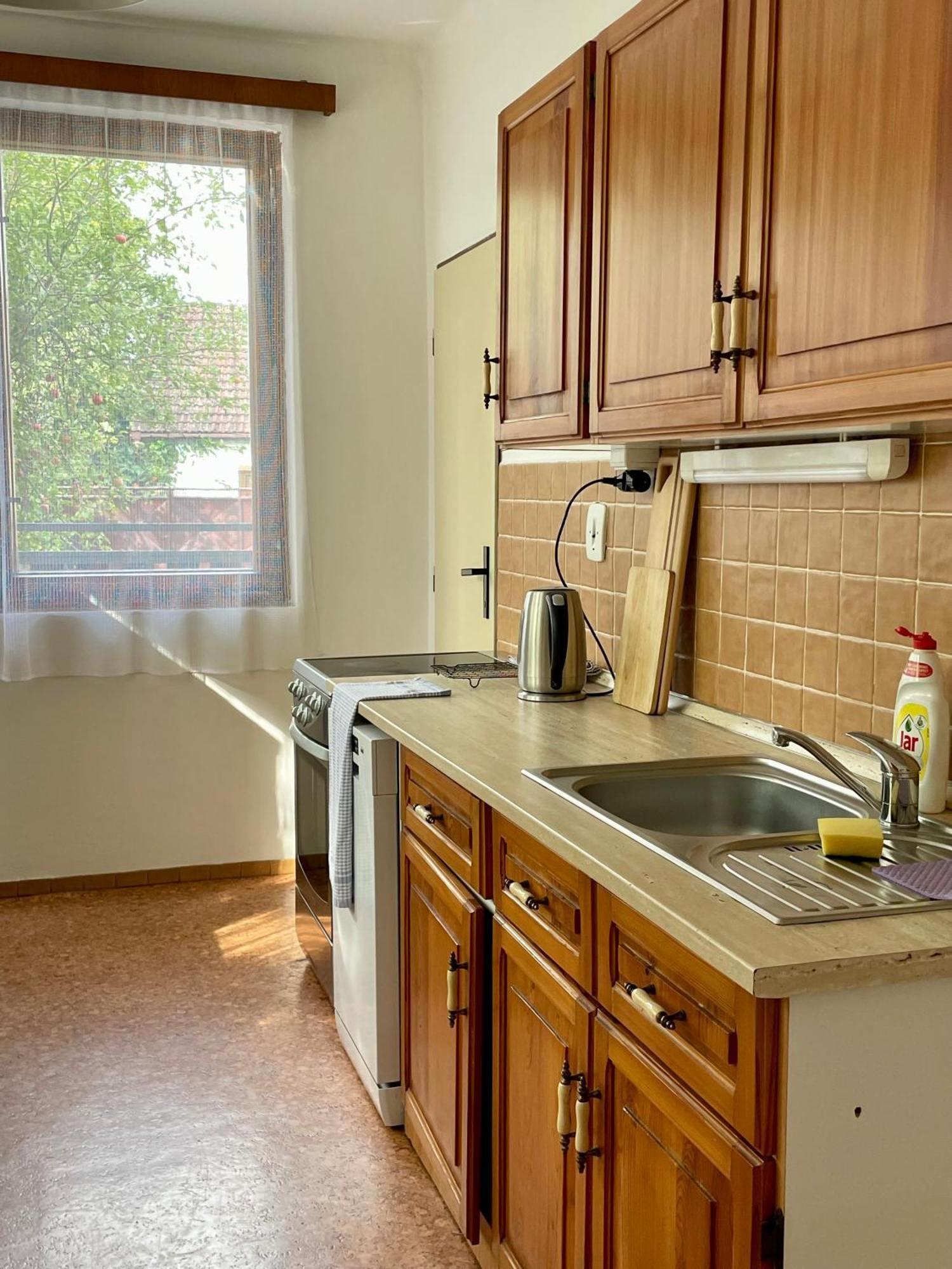 Apartment S Terasou Lysa Ліса-над-Лабем Екстер'єр фото